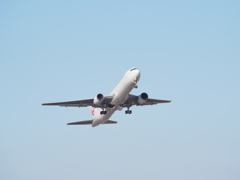 P3105388