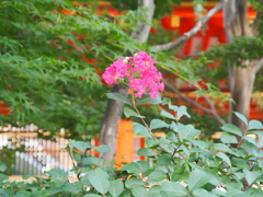 P9171491