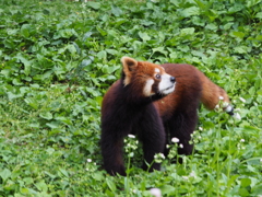 P5057444