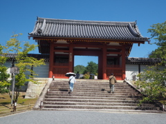 P9169712