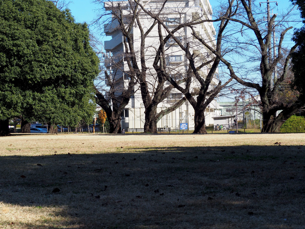 公園