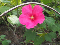 P9181558