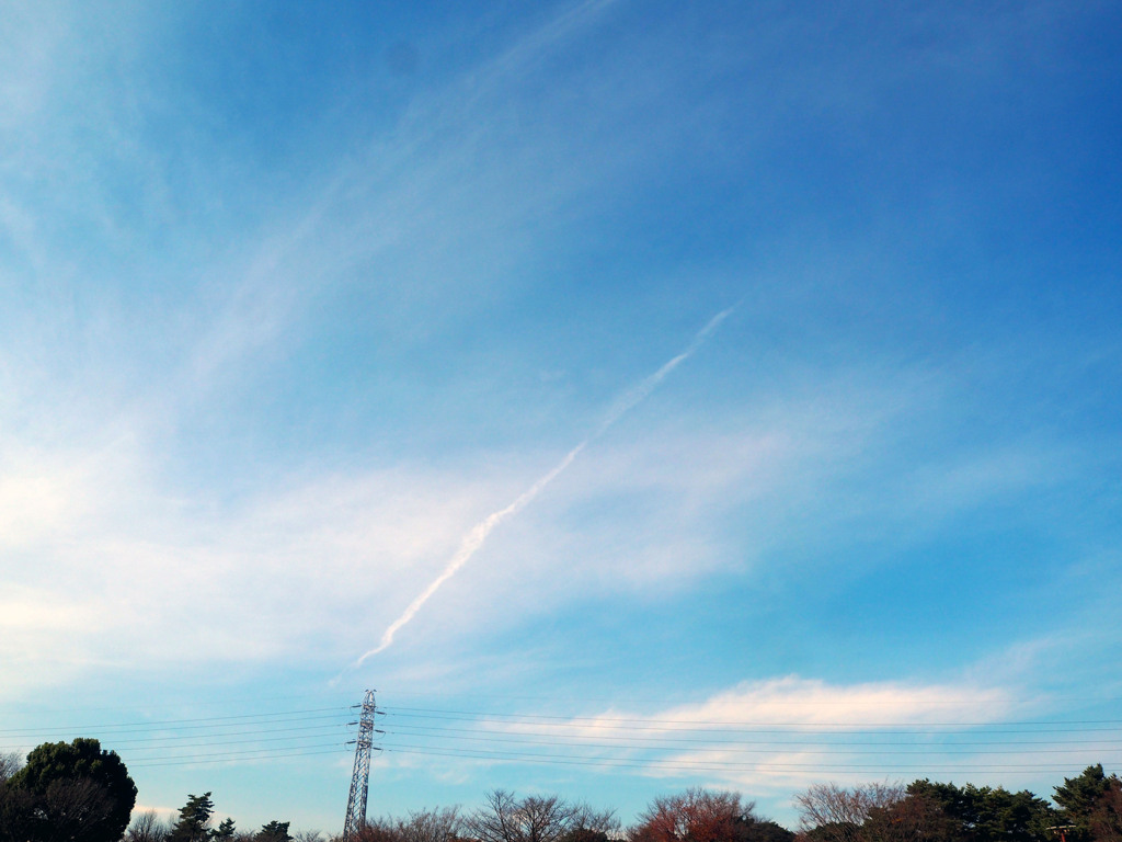 雲を追って