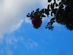 P9171492