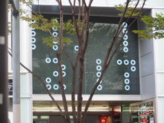 PB011236