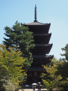 P9169718