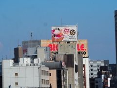 P8280683