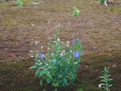 P9181621