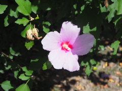 P9181568