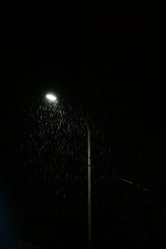 DSC_2412 雨