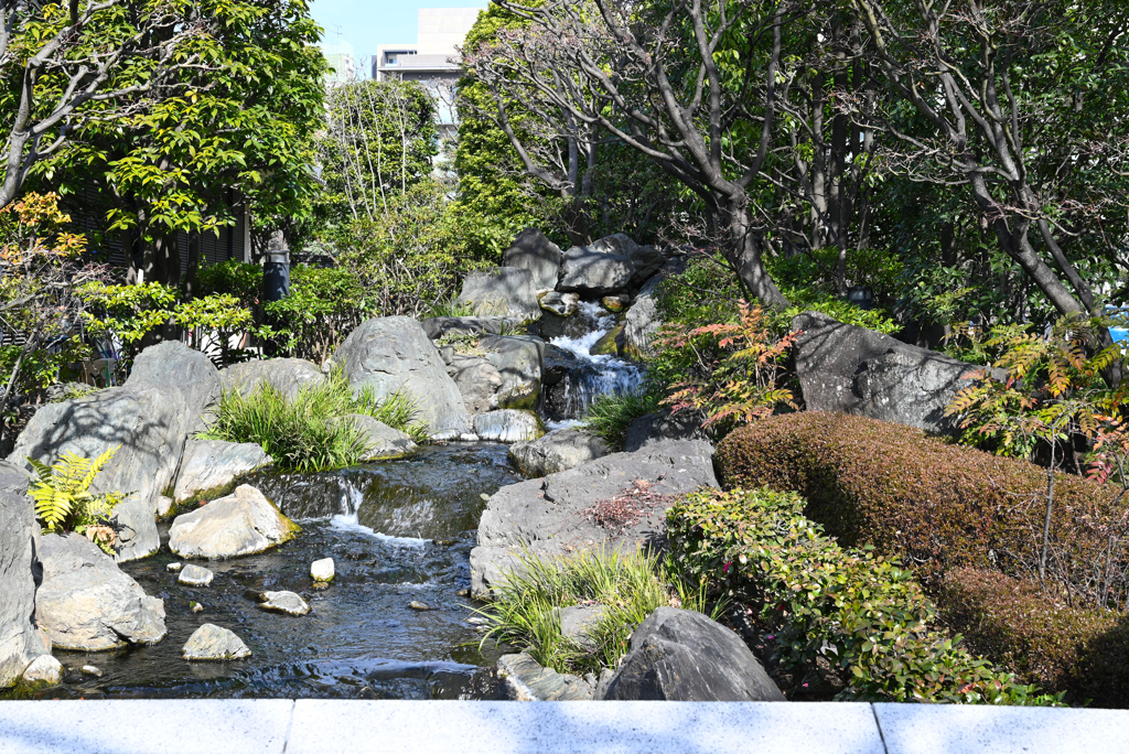 DSC_0977 無題