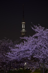 勝手にライトアップ