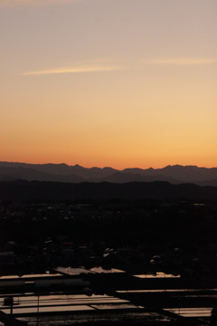 夕景と水田