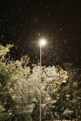 小雪のち大雪