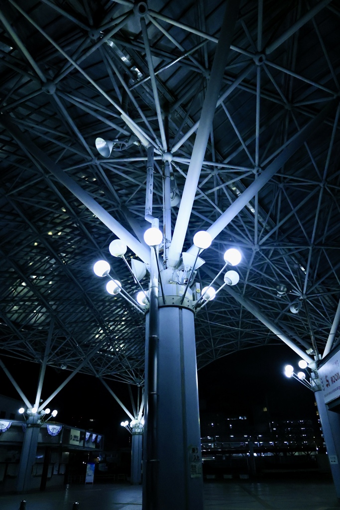 港の夜