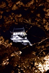 国宝