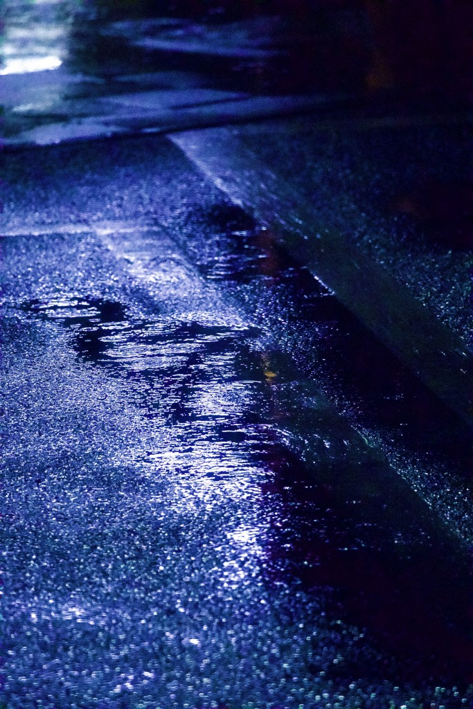 今日も雨