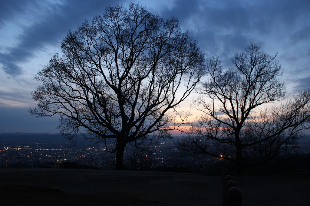 若草山の夕景