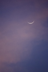 夕空に浮かぶ