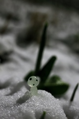 雪の朝