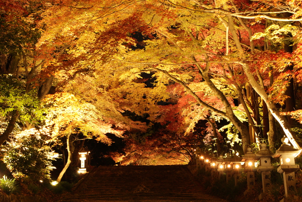 晩秋の故宮神社