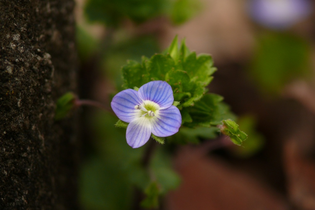 B7D77EE8-A63C-49F4-833C-8D40E431BA86