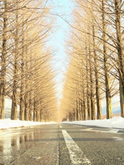 朝日を浴びて