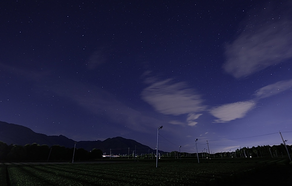 星に願いを