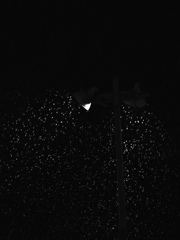 通り雪