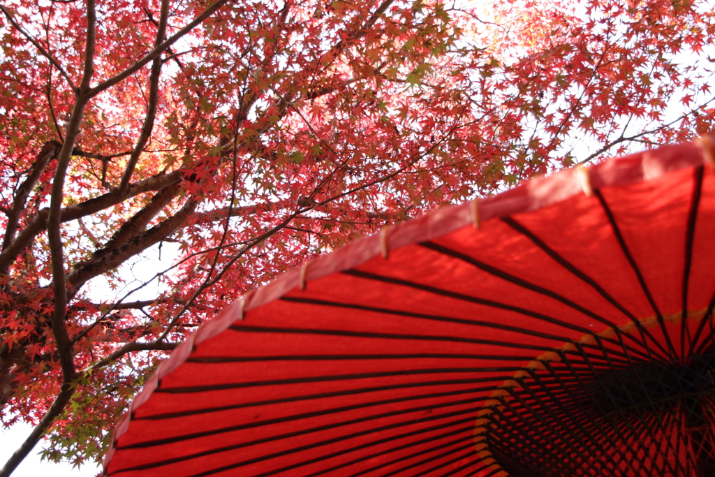 京都 大原 三千院