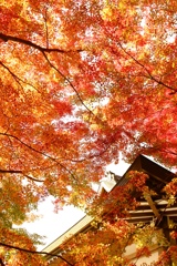 京都 大原 三千院