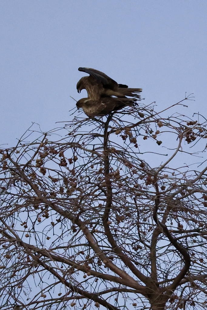 お取り込み中失礼致します