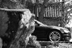 モノクロにチャレンジ