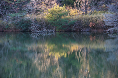 冬の池