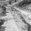 散歩道ー１