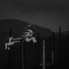 空を翔ける馬