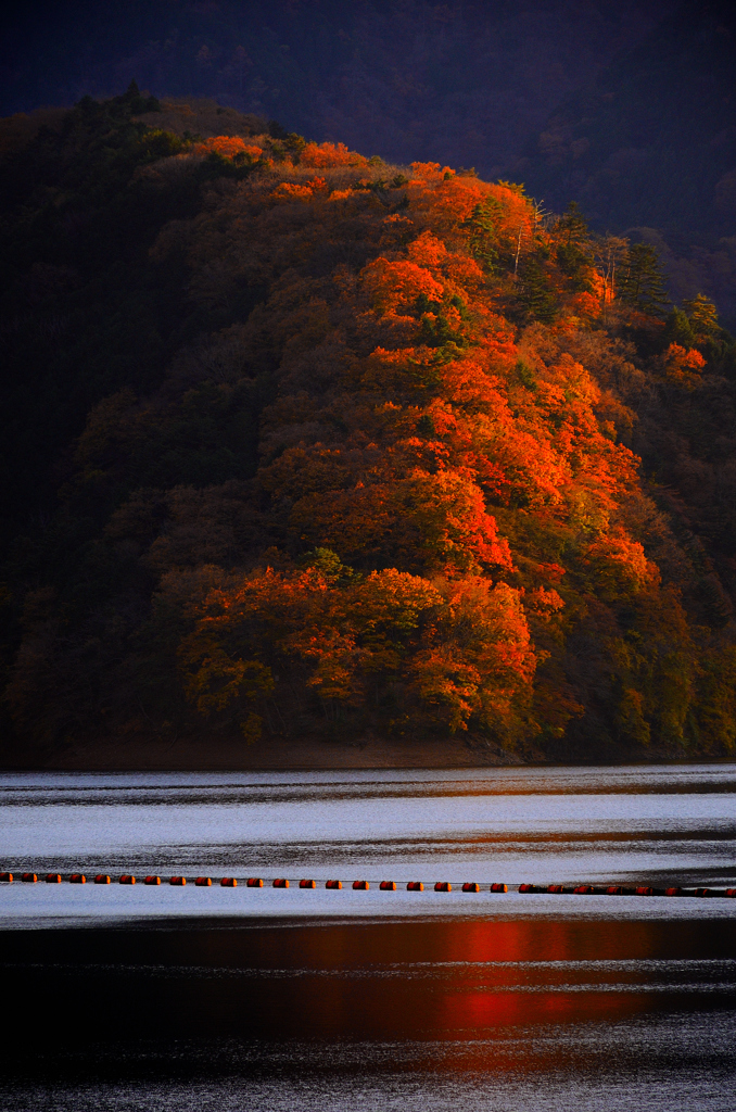 紅葉の待ち遠しい季節