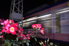 夜行列車