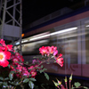 夜行列車