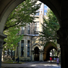 秋の東京大学