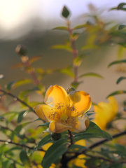 夕方の宮ノ前公園①