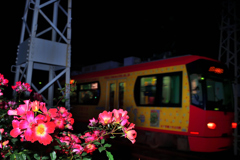 夜行列車②