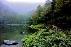 北八ヶ岳の静寂(亀甲池)
