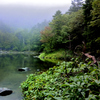 北八ヶ岳の静寂(亀甲池)