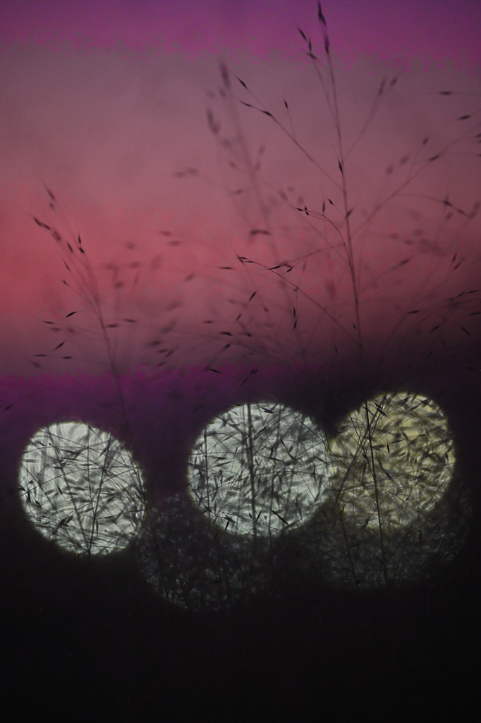 181　夕暮れ影絵