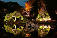 172　六義園の秋