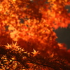 161　燃える