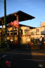 148　荒川車庫情景