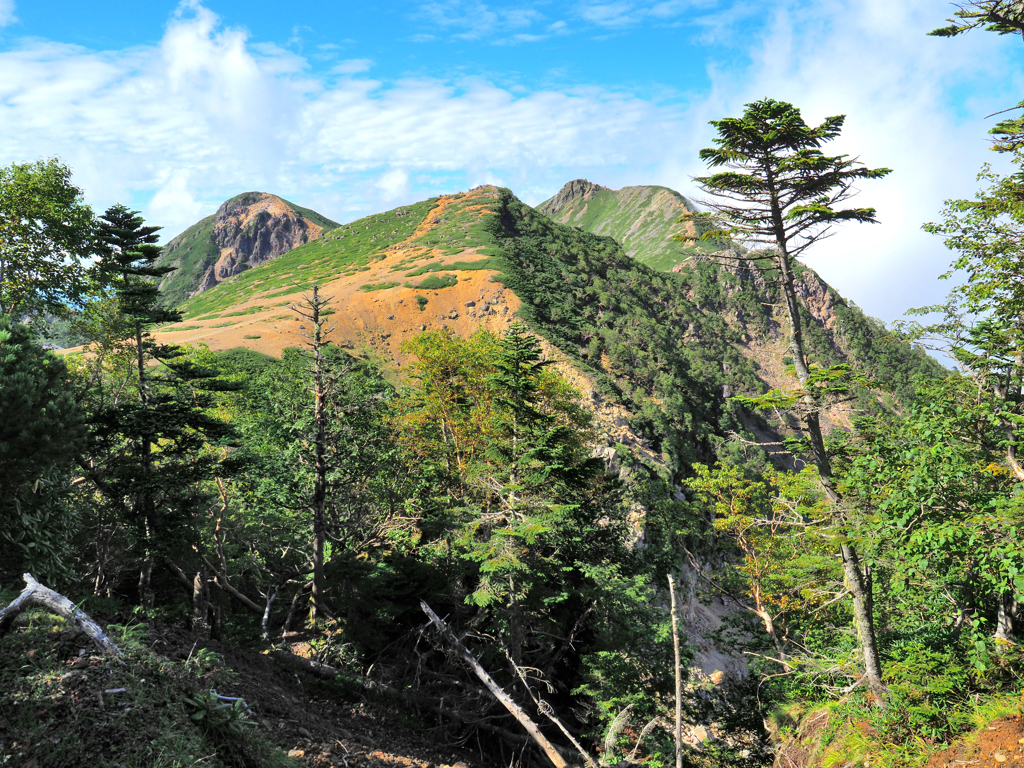 八ヶ岳　根石岳・天狗岳