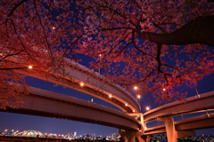 紅く染まるジャンクション
